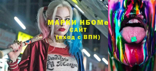 хмурый Алзамай