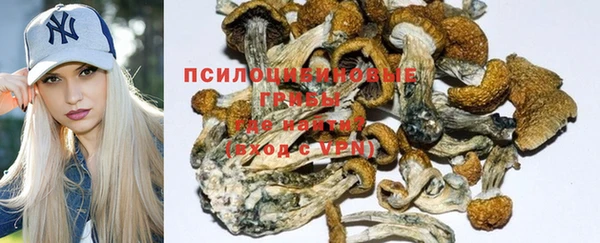 трава Алексин