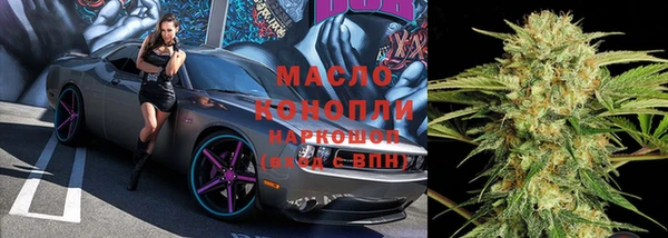 хмурый Алзамай