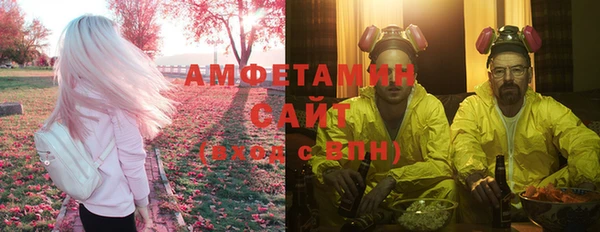 гидра Гусиноозёрск