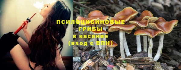 хмурый Алзамай