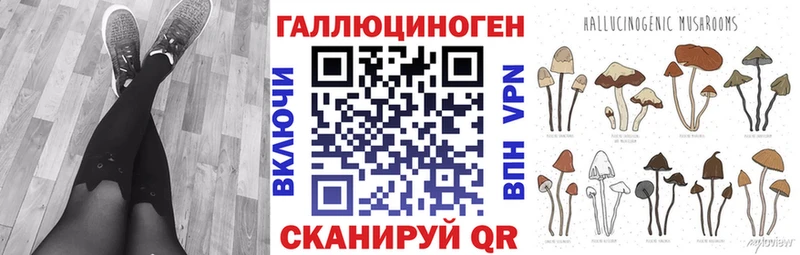 Псилоцибиновые грибы GOLDEN TEACHER  продажа наркотиков  Цивильск 